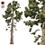 Optimized Douglas Fir Tree 3D model small image 1