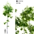 Birch Tree - Tall and Artistic 3D model small image 1