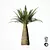 Tropical Palm Tree Replica 3D model small image 4