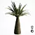 Tropical Palm Tree Replica 3D model small image 5