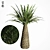 Tropical Palm Tree Replica 3D model small image 7