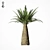 Tropical Palm Tree Replica 3D model small image 9