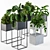 Green Oasis Indoor Plant Collection 3D model small image 1