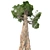 Giant Redwood Tree Sculpture 3D model small image 2