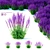Sage Oak Flowers | Salvia nemorosa 3D model small image 1