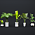 Exotic Houseplant Collection 3D model small image 1