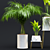 Exotic Houseplant Collection 3D model small image 7