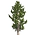 Artfully Pruned Hollywood Juniper 3D model small image 2