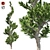 Hollywood Juniper Topiary: Perfectly Optimized and High Quality 3D model small image 1