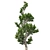 Hollywood Juniper Topiary: Perfectly Optimized and High Quality 3D model small image 2