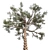 Huangshan Pine Tree - 3D Optimized Model 3D model small image 2