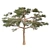 Huangshan Pine Tree - 3D Optimized Model 3D model small image 3