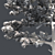 Huangshan Pine Tree - 3D Optimized Model 3D model small image 5