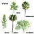 Exquisite Foliage Collection: 5 Spectacular Trees 3D model small image 1