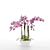 Pink Phalaenopsis Orchid 3D model small image 2