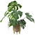 Tropical Monstera Plant - 90cm 3D model small image 2