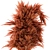 Russet Red Pampas Grass 3D model small image 2