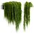 Evergreen Hanging Ivy Plant 3D model small image 1