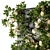 Ivy Greenery Box: Beauty in Bloom 3D model small image 2