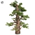 Optimized Western Juniper Tree 3D model small image 1