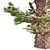 Optimized Western Juniper 99% Quad Tree 3D model small image 4