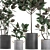 Exotic Indoor Plant Collection in Concrete Pots 3D model small image 2