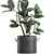 Concrete Pot Exotic Ficus 3D model small image 3