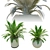 Pair of Majestic Palms in Pot 3D model small image 2