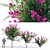 Vibrant Purple Crape Myrtle 3D model small image 1