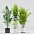 Exotic Plant Set: Palm Majesty, Alocasia, Aspidistra, Banana Plants 3D model small image 2