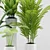 Exotic Plant Set: Palm Majesty, Alocasia, Aspidistra, Banana Plants 3D model small image 3