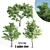 Trio of Majestic Ash Trees 3D model small image 1