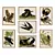 Audubon's Bird Posters #02  3D model small image 1