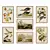  Audubon's Birds of America Posters 3D model small image 1