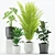 Tropical Plant Set - Majestic Palms & Alocasia 3D model small image 2