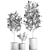 Concrete Pot Plant Collection 3D model small image 5