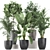 Indoor Plant Collection: Ficus, Banana Palm & Exotics 3D model small image 4