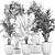 Indoor Plant Collection: Ficus, Banana Palm & Exotics 3D model small image 5