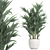 Exotic Palm Collection in White Pot 3D model small image 1