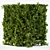 Cube Bush Broadleaf Wall 3D model small image 2