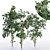 Three Splendid Vray Trees 3D model small image 1