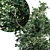Three Splendid Vray Trees 3D model small image 2