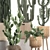 Exotic Cactus Collection in Rattan Baskets 3D model small image 2