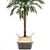 Tropical Palm Collection 3D model small image 3