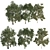 Trio of Majestic Arboreal Beauties 3D model small image 1