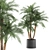 Tropical Paradise Collection: Exotic Indoor Palm Trees - Set of 4 3D model small image 1