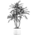 Tropical Paradise Collection: Exotic Indoor Palm Trees - Set of 4 3D model small image 5