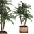 Tropical Plant Collection: Exotic Indoor Palms 3D model small image 1