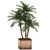Tropical Plant Collection: Exotic Indoor Palms 3D model small image 4