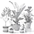 Tropical Plant Collection: Figs, Japanese Banana, Rubber Tree & Anthurium 3D model small image 4